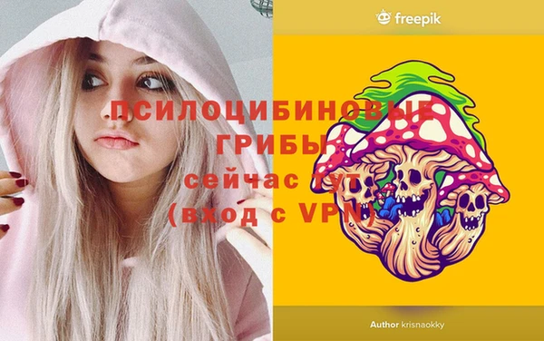 соль ск Белокуриха