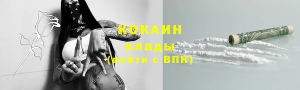соль ск Белокуриха