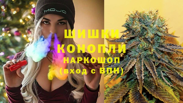 соль ск Белокуриха