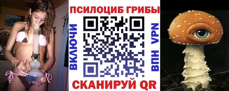 Галлюциногенные грибы Psilocybe  Жирновск 